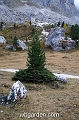wbgarden alps 90